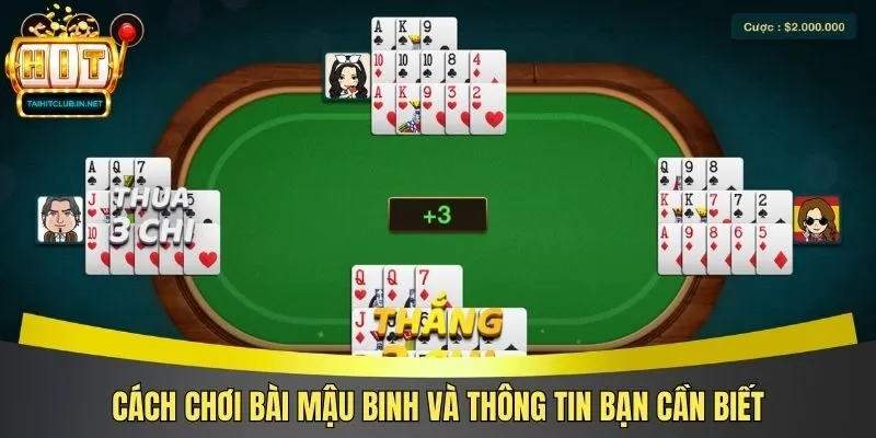 Cách chơi bài Mậu Binh và thông tin bạn cần biết