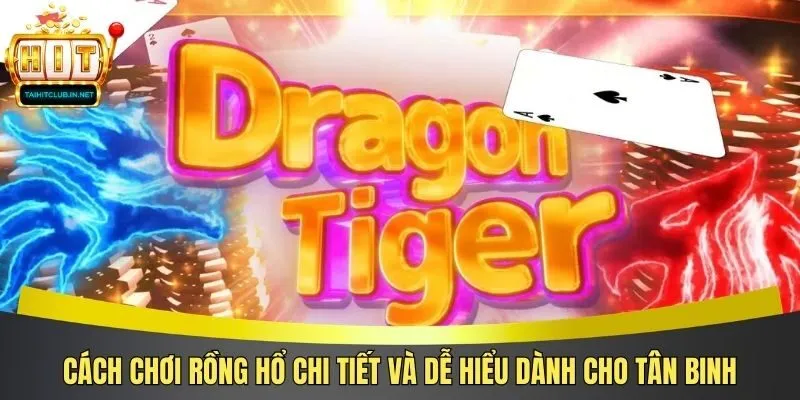 Cách Chơi Rồng Hổ Chi Tiết Và Dễ Hiểu Dành Cho Tân Binh