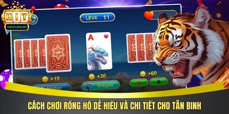 Cách chơi Rồng Hổ dễ hiểu và chi tiết cho tân binh