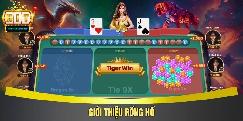 Giới thiệu Rồng Hổ