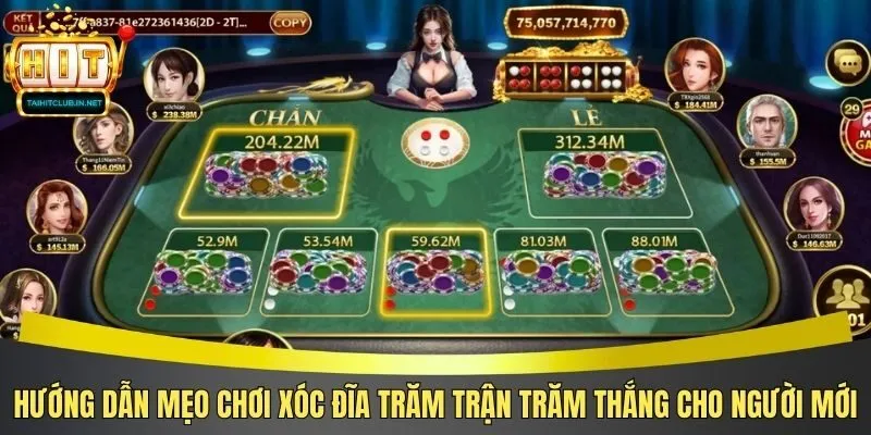 Hướng dẫn mẹo chơi xóc đĩa trăm trận trăm thắng cho người mới