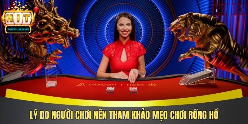 Lý do người chơi nên tham khảo mẹo chơi rồng hổ