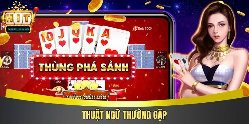 Thuật ngữ thường gặp