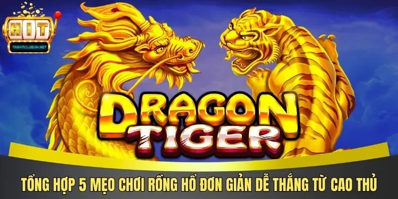 Tổng Hợp 5 Mẹo Chơi Rồng Hổ Đơn Giản Dễ Thắng Từ Cao Thủ